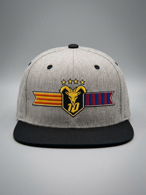 GOAT Catalan two-tone snapback in Ntụ Gray / Oji Black, front view — the full-colour Catalan crest on the crown: gold goat, No. 10, four stars, split Senyera and blaugrana banner.