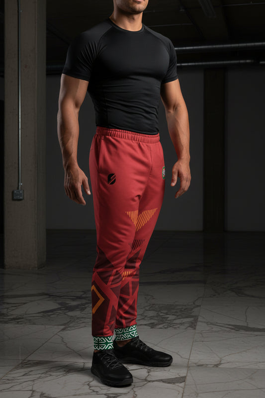 Morocco '26 Atlas Protocol Joggers — Atlas Lions World Cup 2026 training pants by SunBorn — image 2