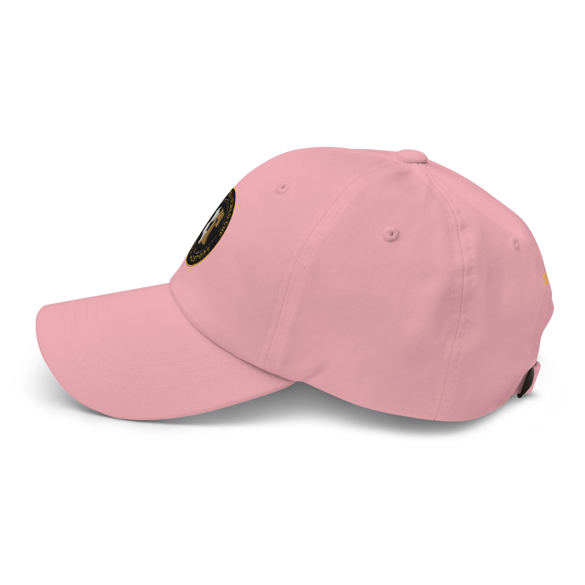 Liberty Protocol // Philly '26 Dad Hat — pink left side view, unisex unstructured cap with curved bill | SunBorn